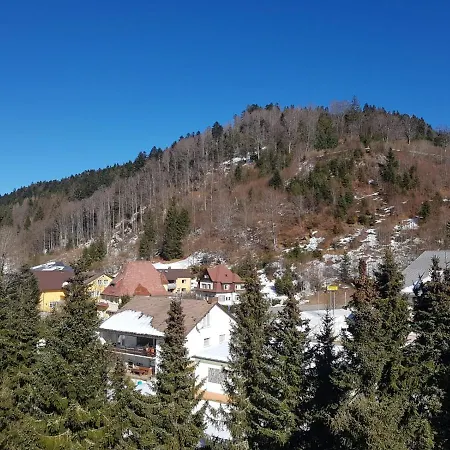 Apartman Erholung Im Schwarzwald Ferienwohnung 35 Todtmoos