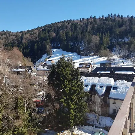 Erholung Im Schwarzwald Ferienwohnung 35 Apartman