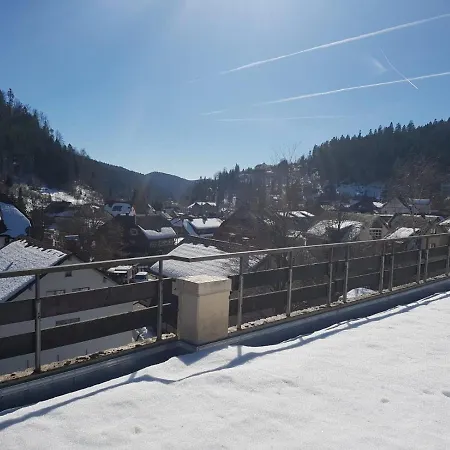 Apartman Erholung Im Schwarzwald Ferienwohnung 35 *