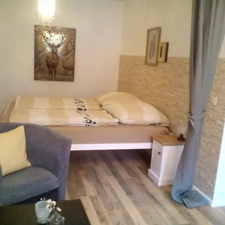 Erholung Im Schwarzwald Ferienwohnung 35 Apartman Todtmoos
